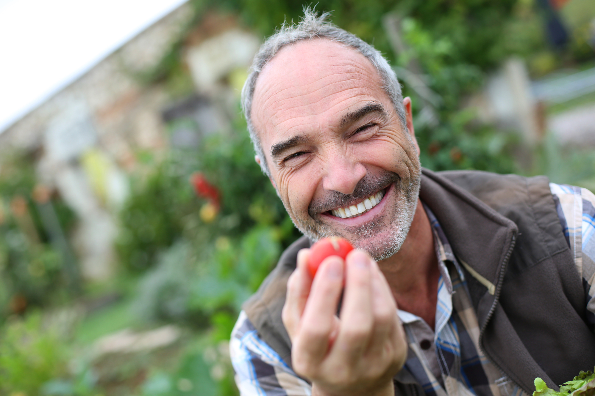 Cheerful senior man showing tomatoes from garden
